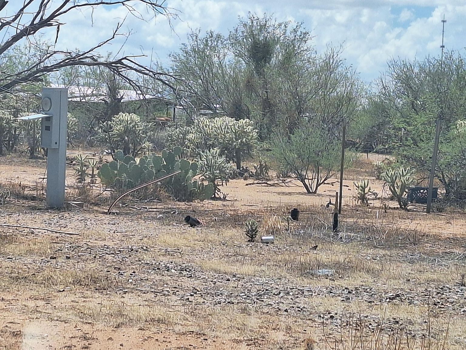 15324 W Ajo Hy Hwy Tucson, AZ 85735  | Land/Lot