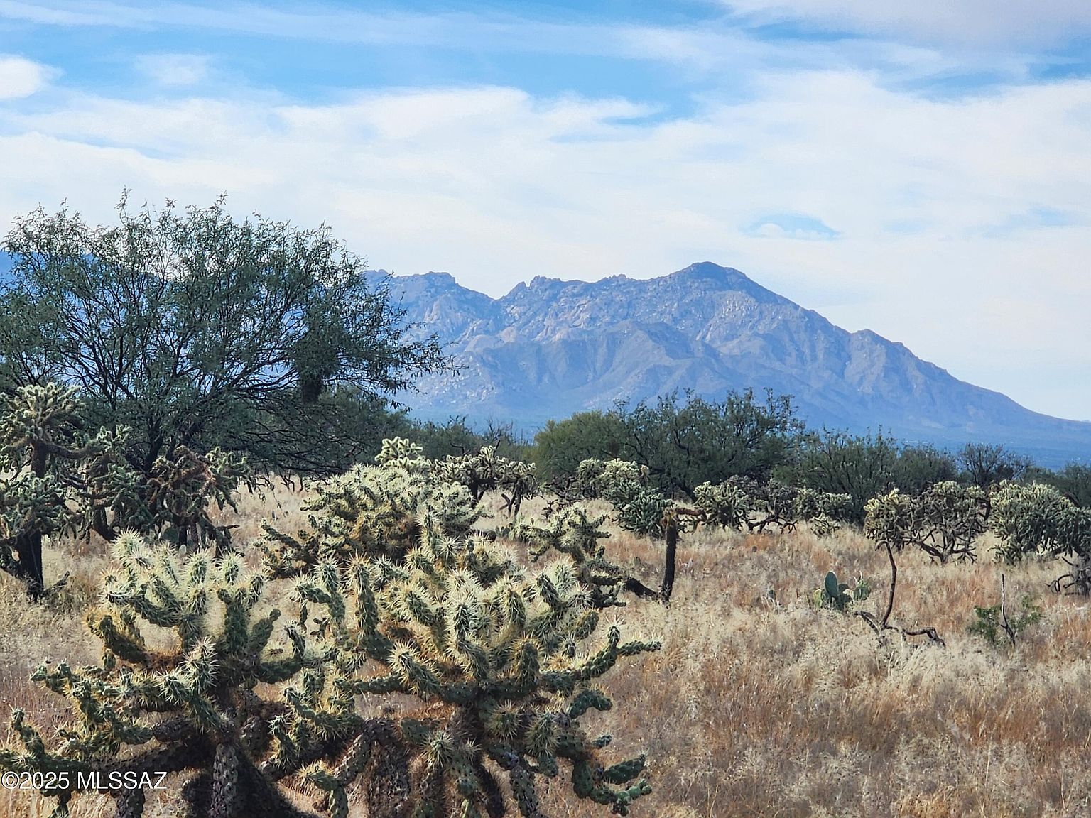 15246 S Carlsburg Ave #124-127 Tucson, AZ 85736 | Land/Lot