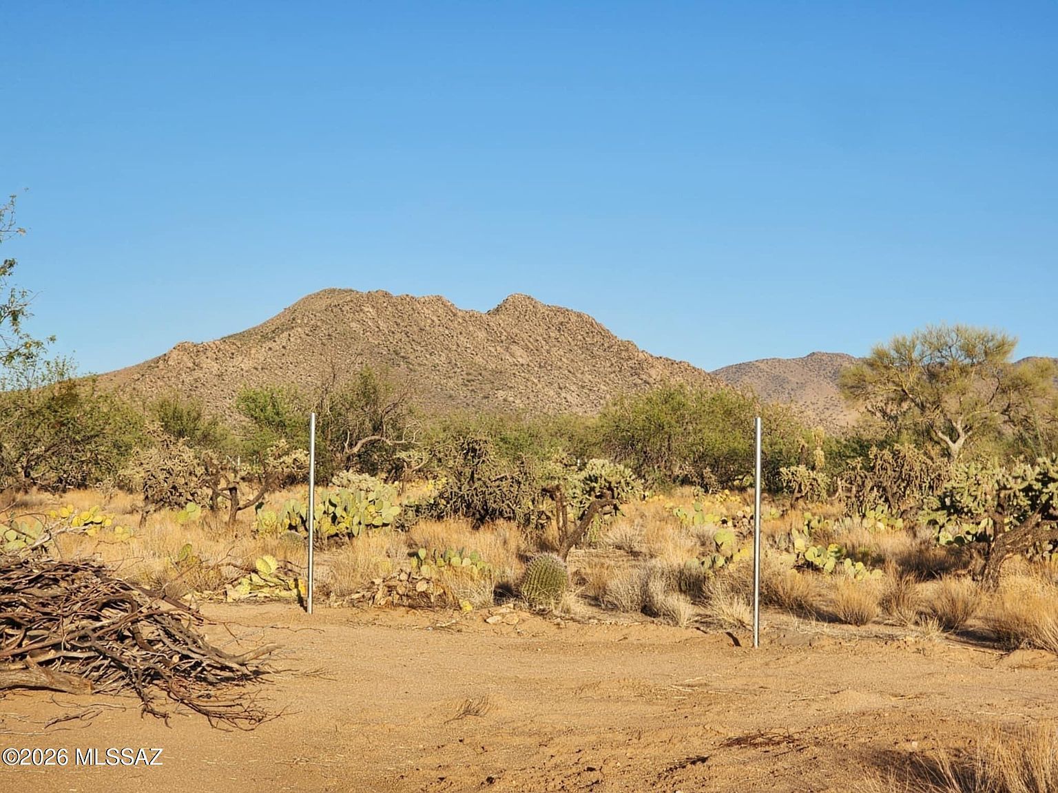 15035 S Muldoon Ave #115 Tucson, AZ 85736  | Land/Lot