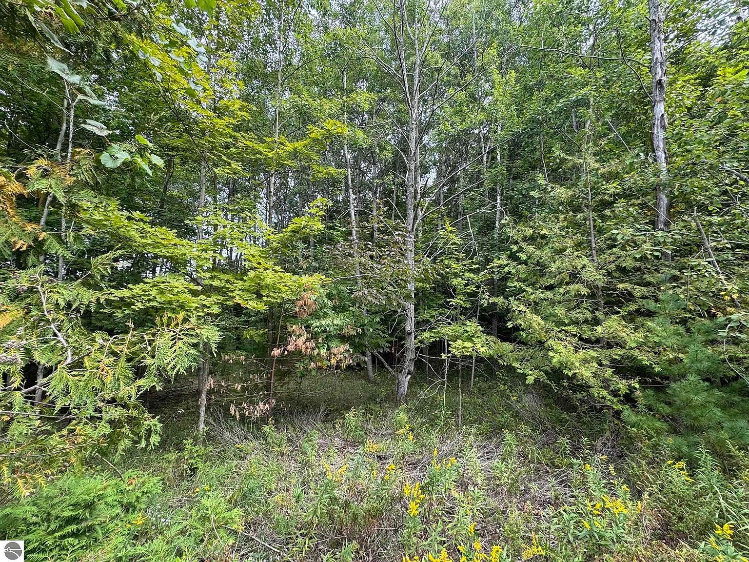LOT 4 E Old Mountain Rd Cedar, MI 49621  | Land/Lot