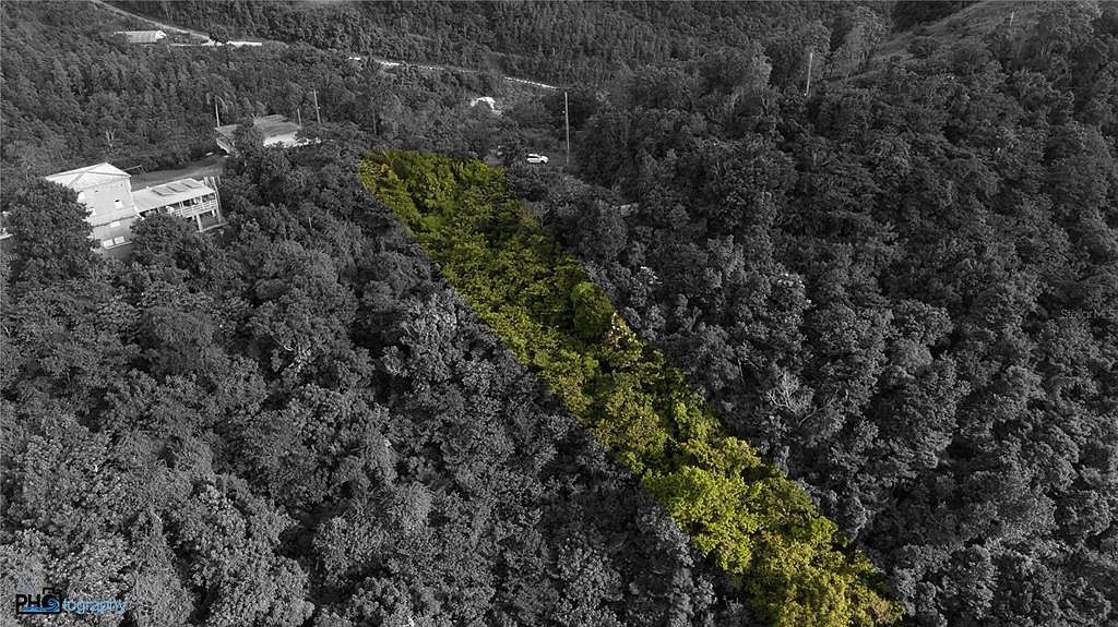 State Highway 715 Km #5.7 Cayey, PR 00736 | Land/Lot