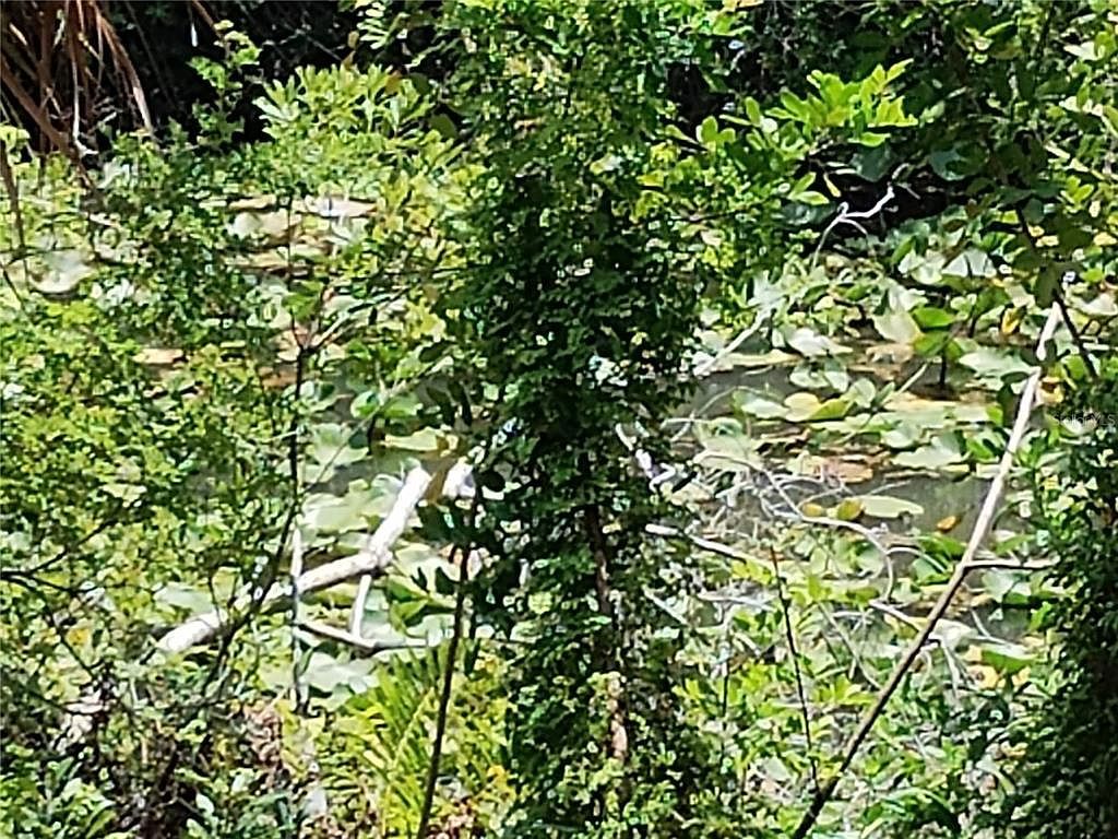 Casco Cir LOT 19 North Pt, FL 34288  | Land/Lot