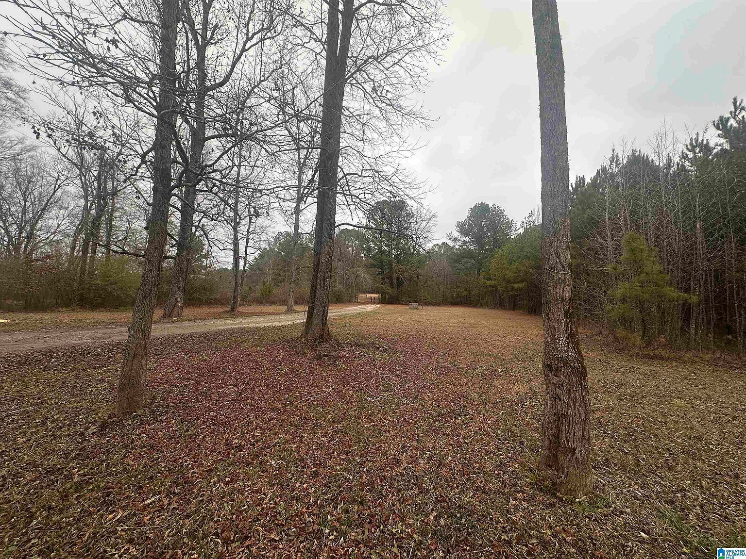 73 Bambi Cir Trafford, AL 35172 | Single Family