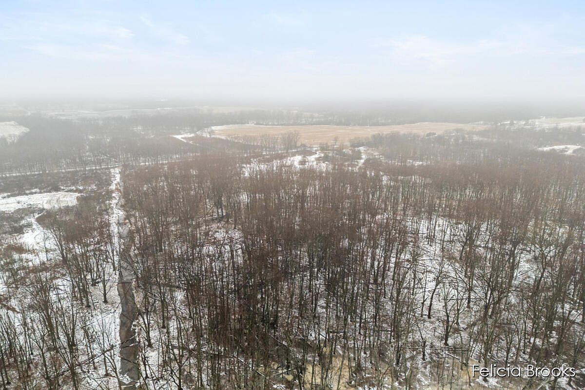 17580 Pine Lake Ave Sand Lake, MI 49343  | Land/Lot