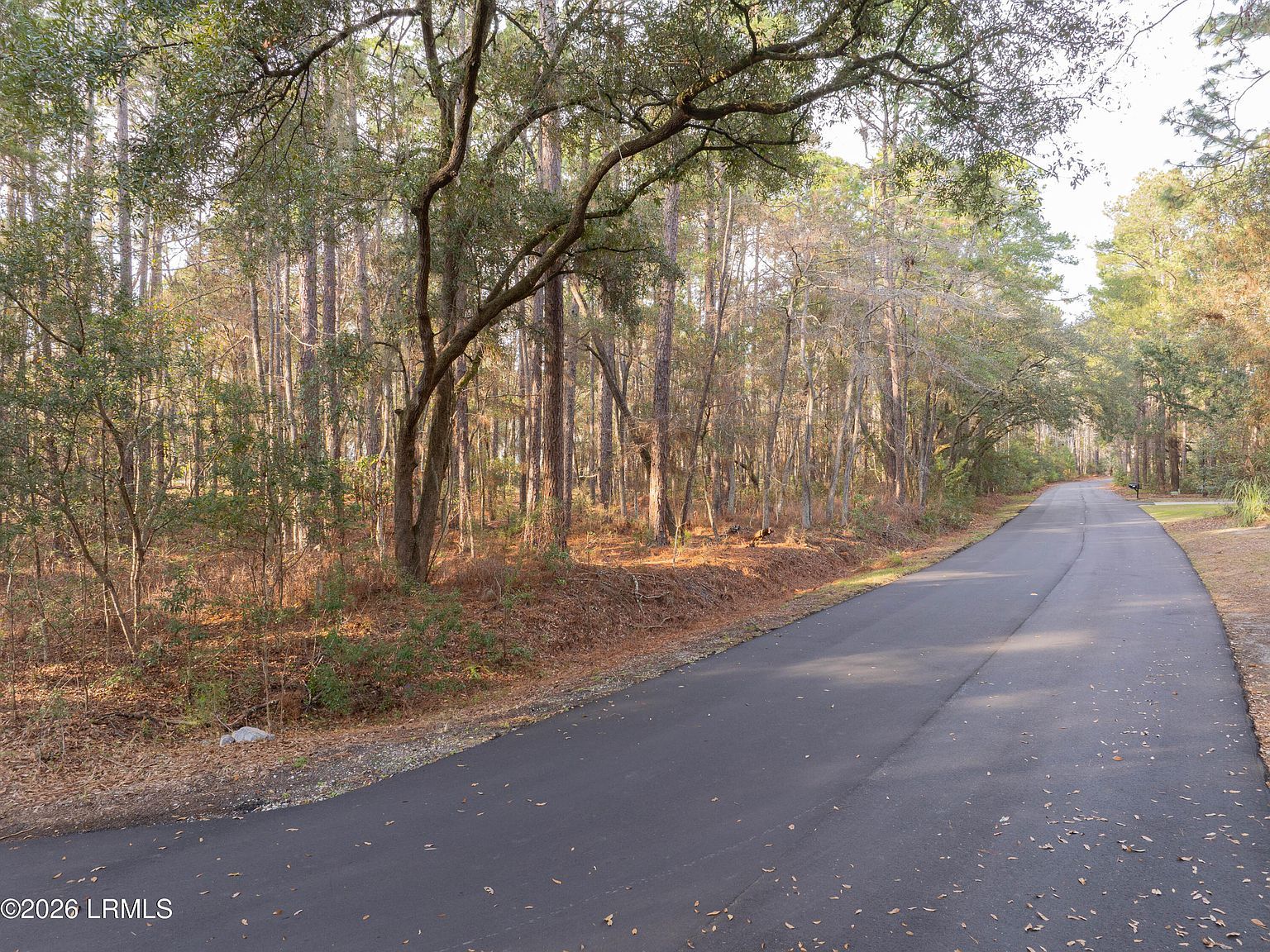 106 Gator Ln Beaufort, SC 29907 | Land/Lot