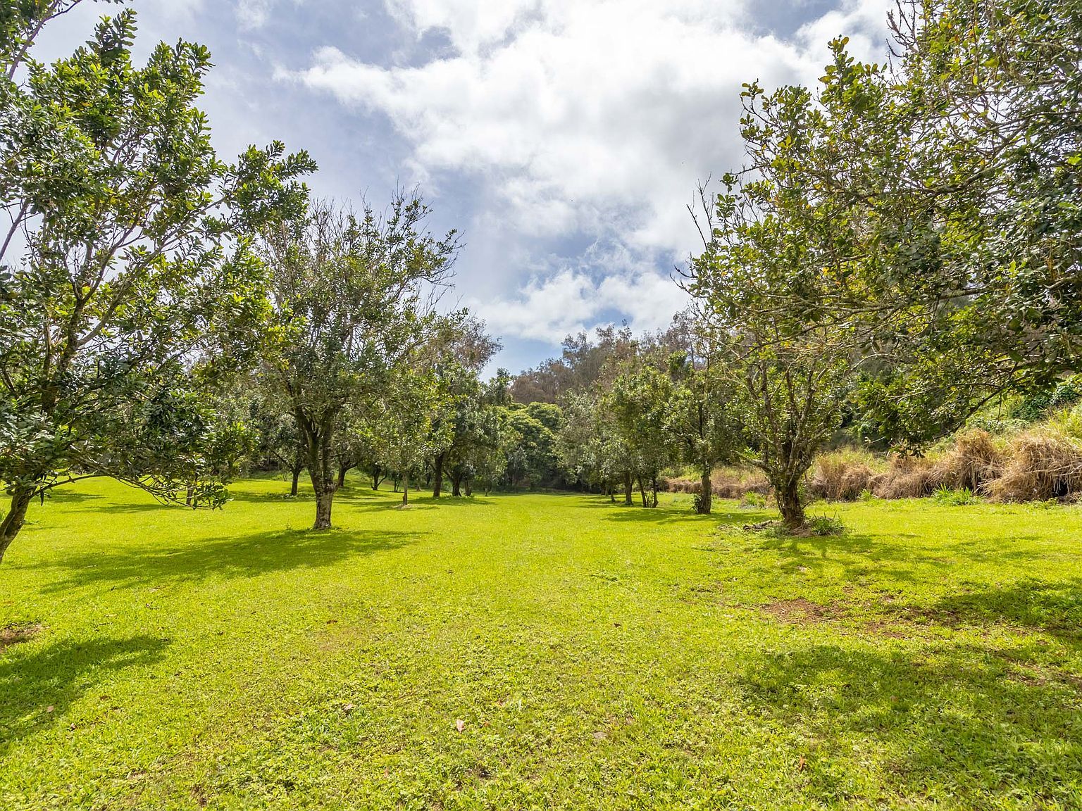 47-4630 Cane Haul #1 Honokaa, HI 96727  | Land/Lot