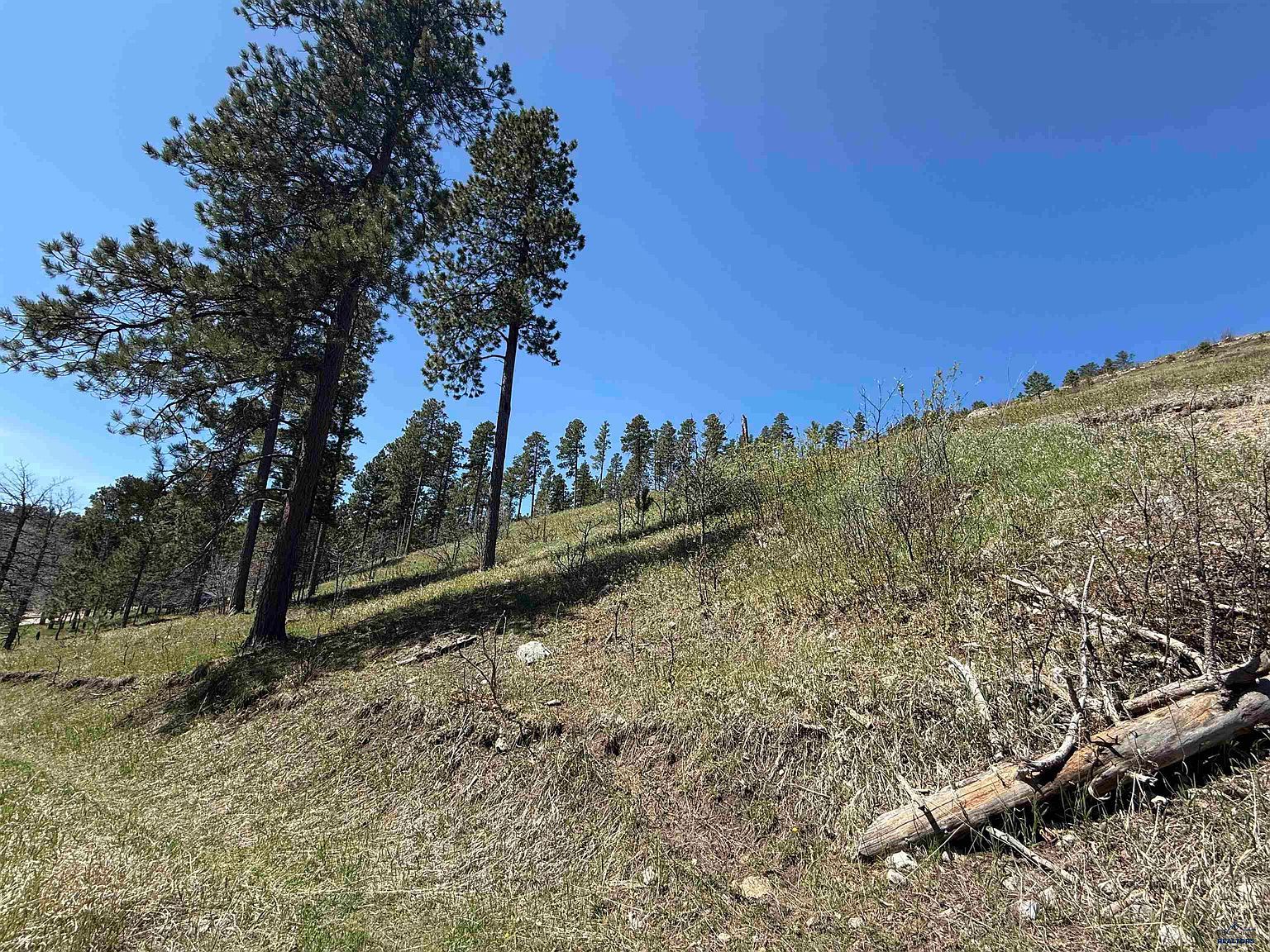 Two Bit Rd LOT 31 Sturgis, SD 57785  | Land/Lot