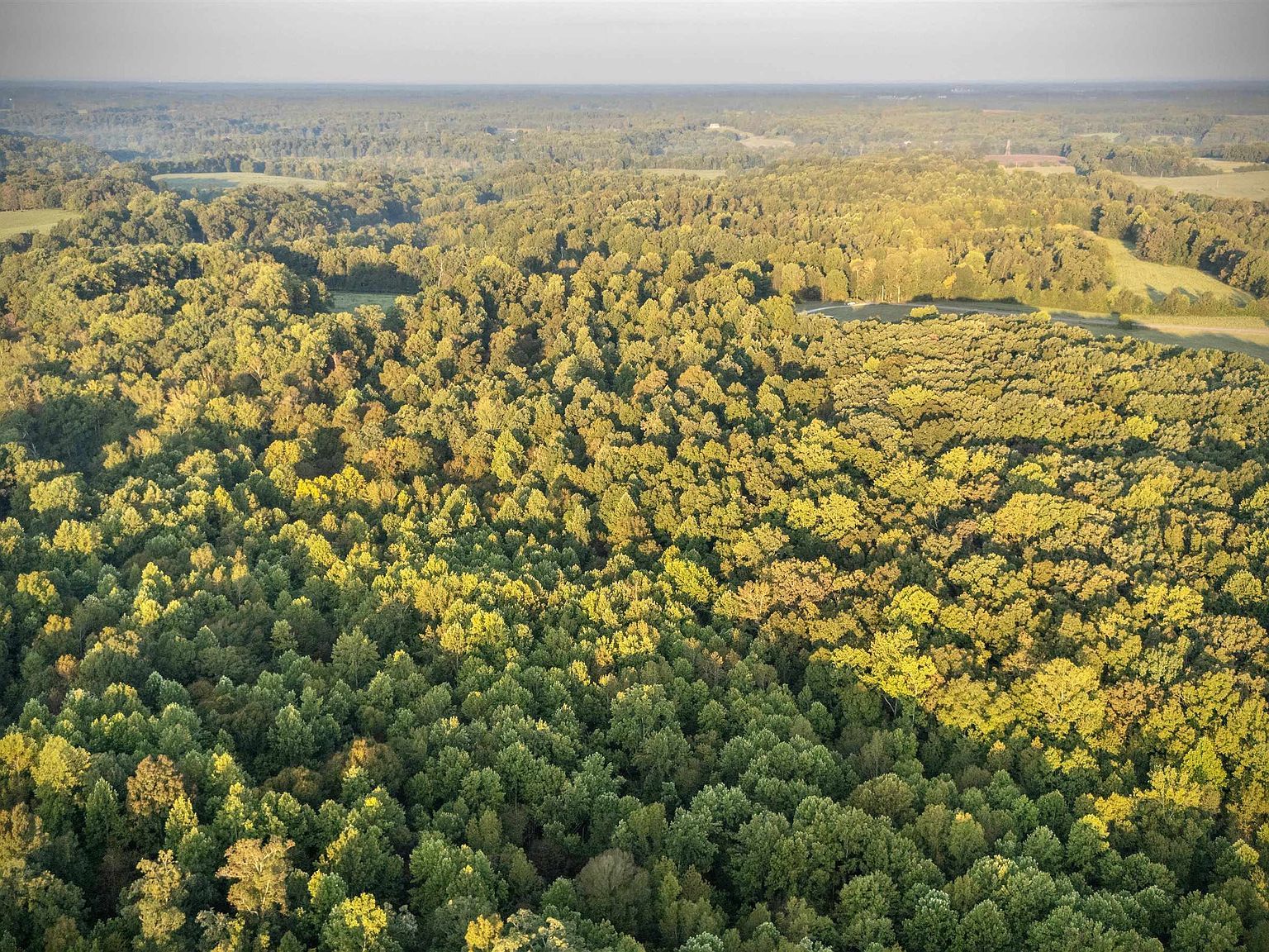 2 County Road 503 Anderson, AL 35610  | New build