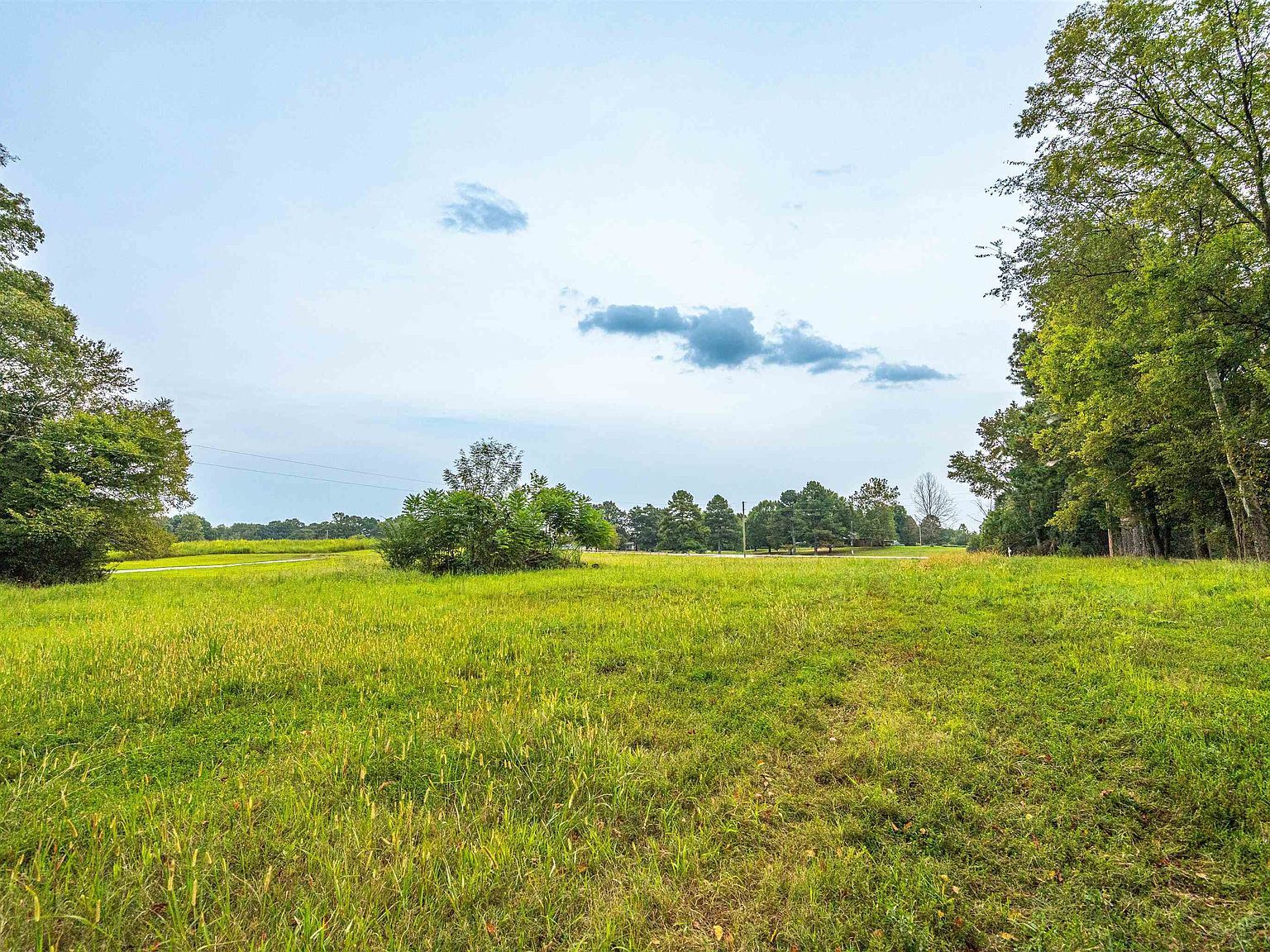 TRACT 1 State Highway 99 Anderson, AL 35610  | Land/Lot