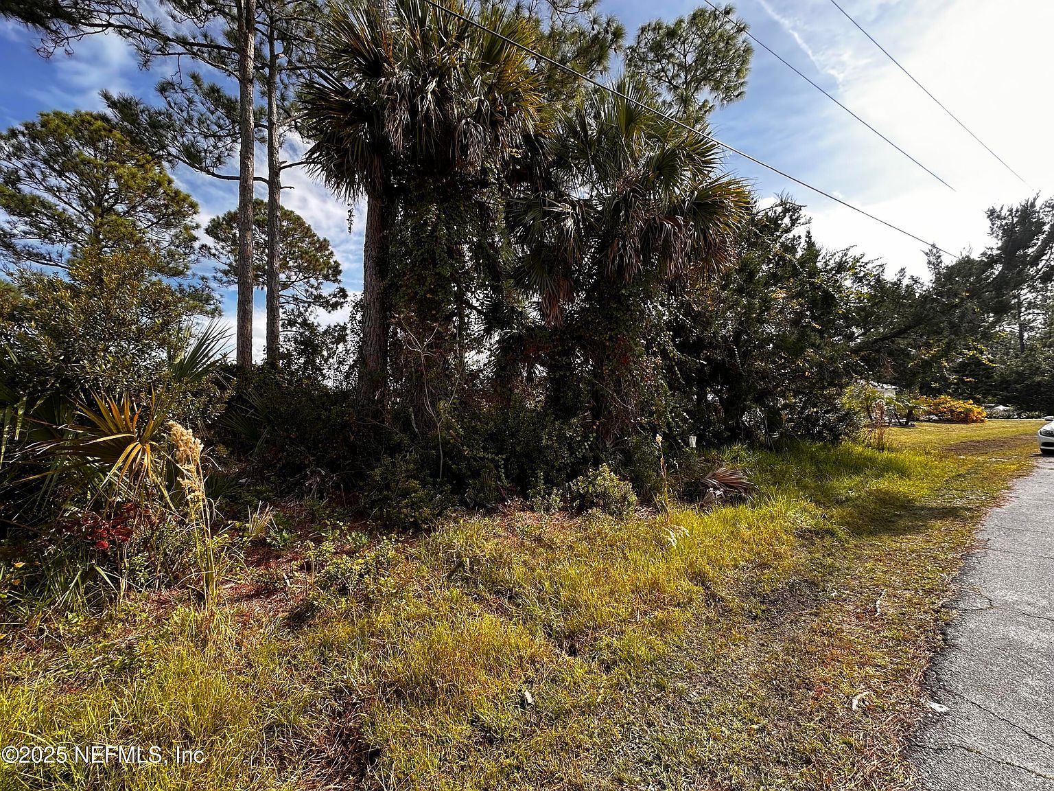 88 Princess Ruth Ln Palm Coast, FL 32164  | Land/Lot