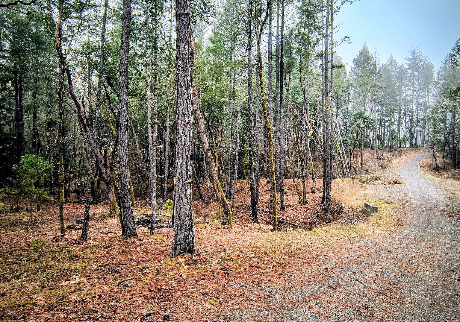 2100 Saratoga Way Grants Pass, OR 97526 | Land/Lot