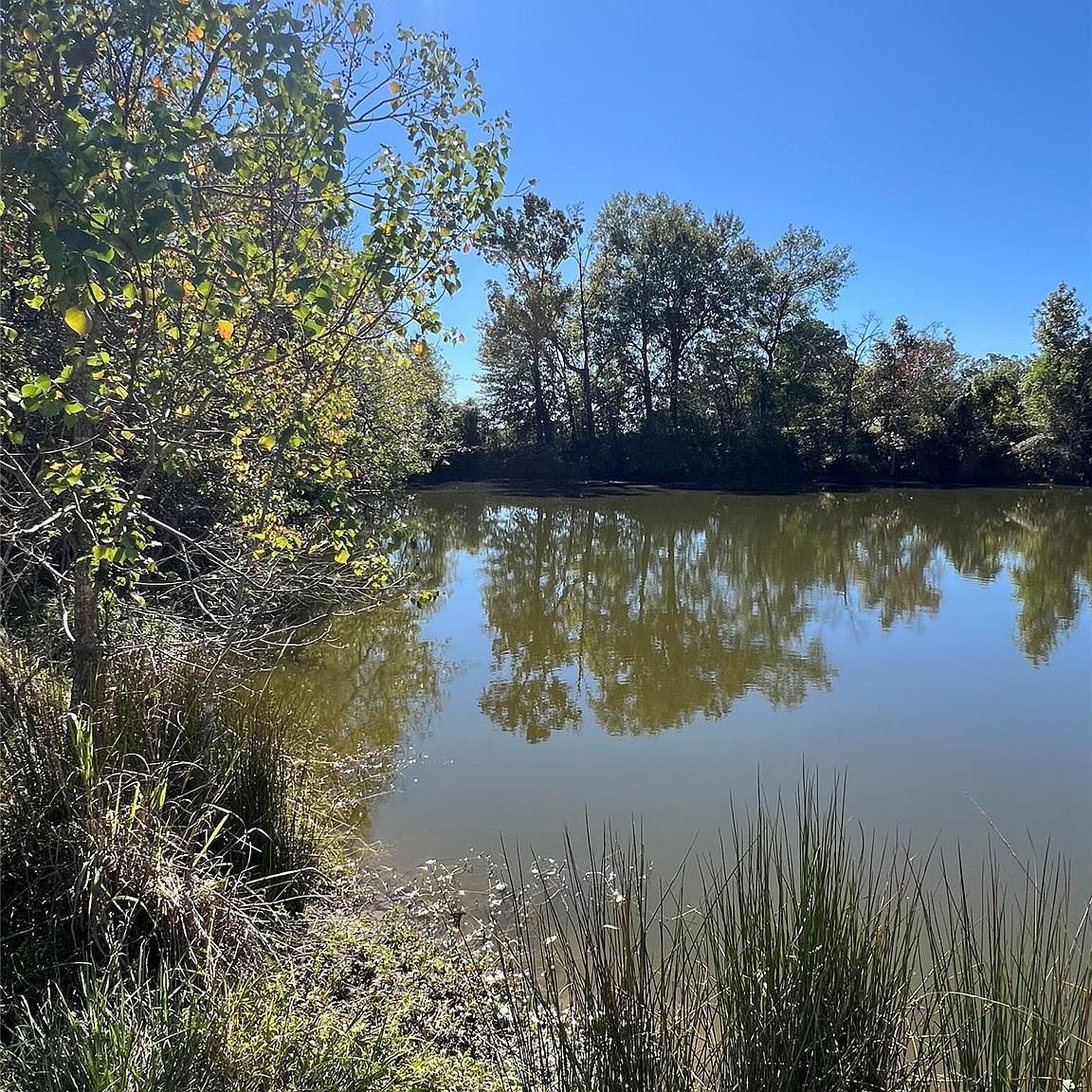 11 Lake Livingston Ln Trinity, TX 75862  | Land/Lot