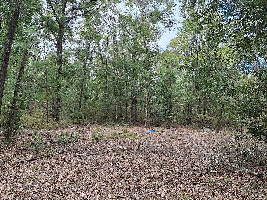 0 SW County Road 138 Fort White, FL 32038  | Land/Lot