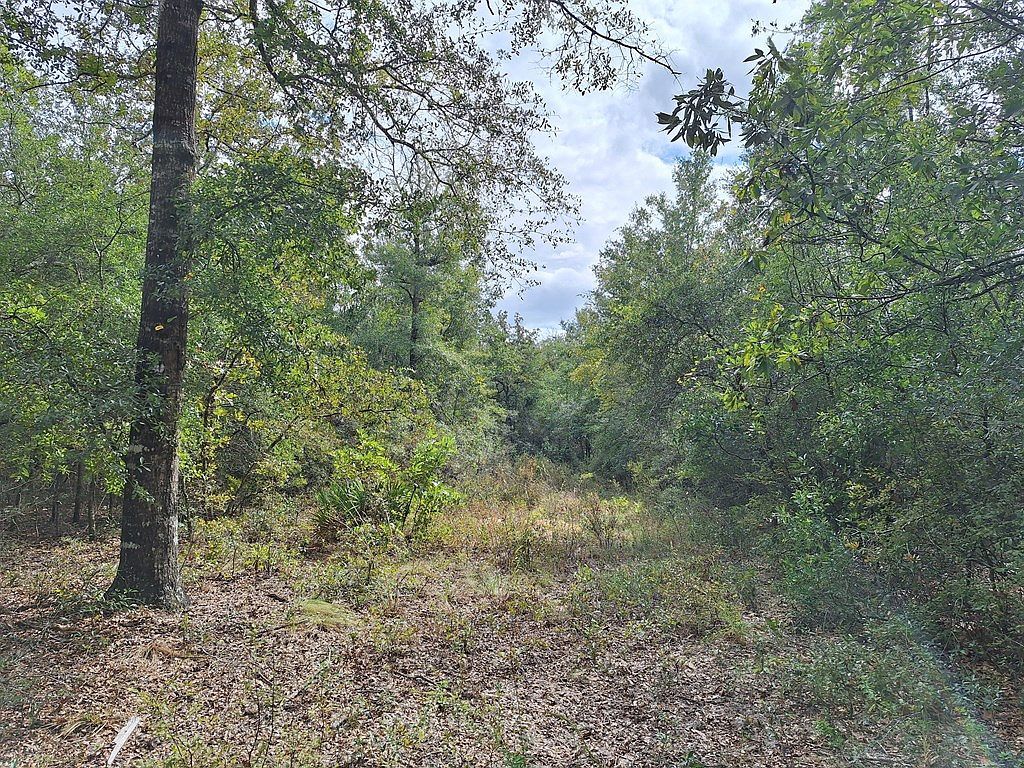 SW County Road 138 Fort White, FL 32038  | Land/Lot
