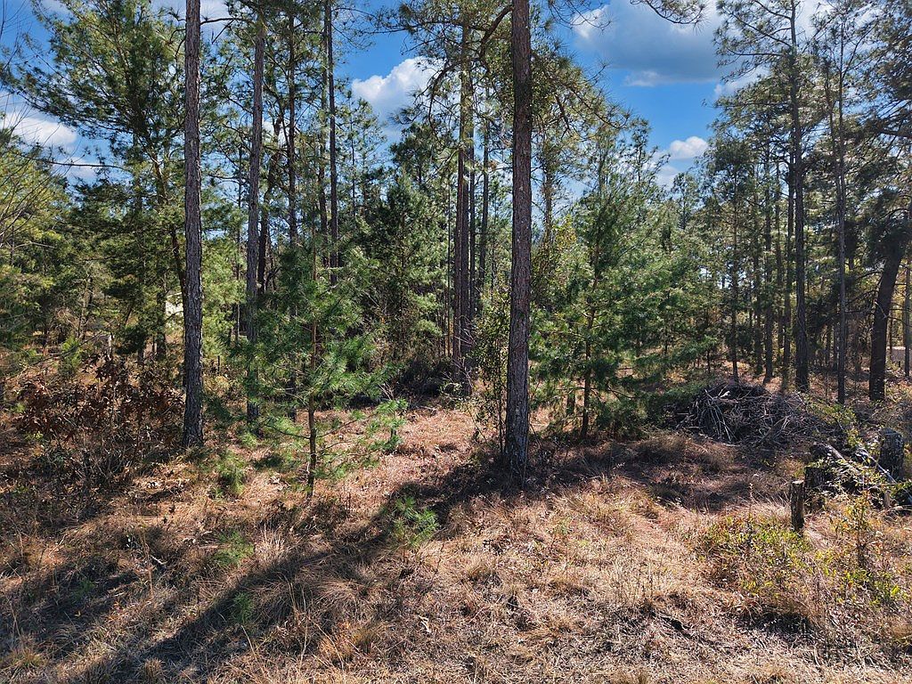 0 SE 6th Ln Williston, FL 32696  | Land/Lot