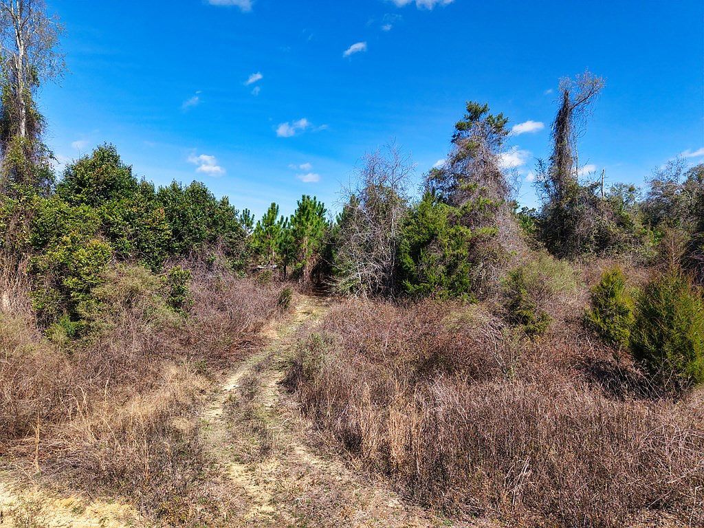 0 SW 80th St Trenton, FL 32693  | Land/Lot