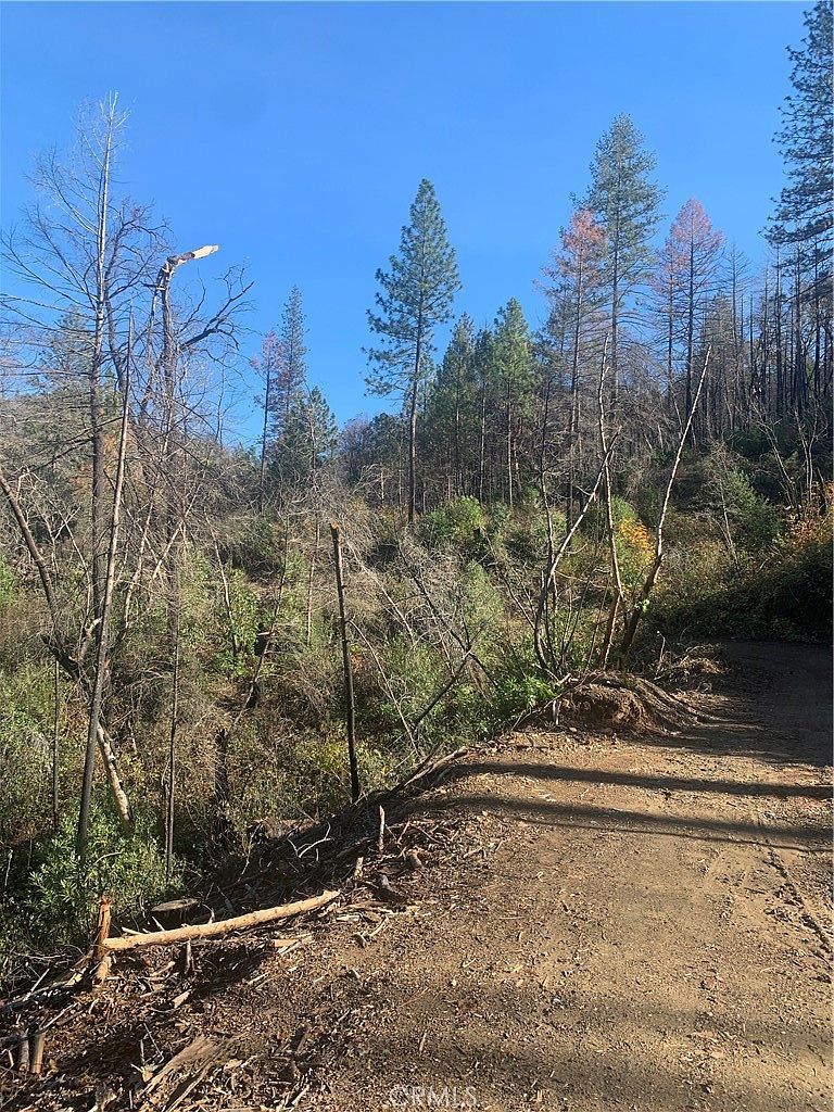 0 Four Trees Rd Oroville, CA 95965  | Land/Lot