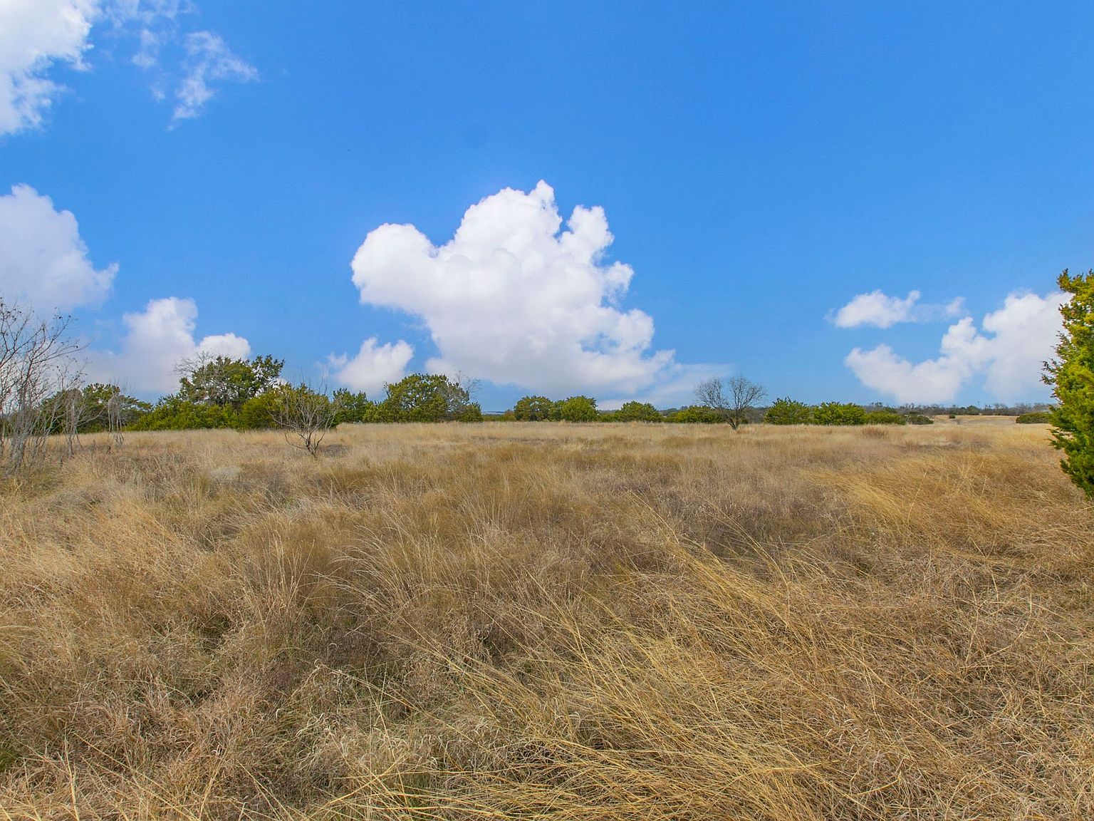 County Road 312 Mc Gregor, TX 76657 | Land/Lot