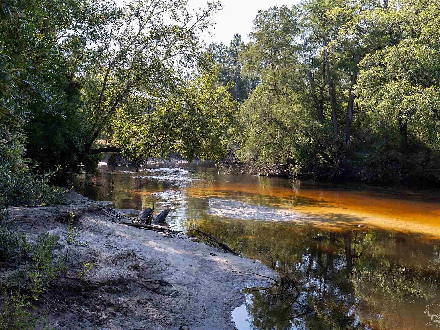 19755 Vaughn Rd Seminole, AL 36574  | Single Family