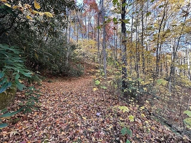 124&125 Large Poplar Trl Waynesville, NC 28785 | Land/Lot