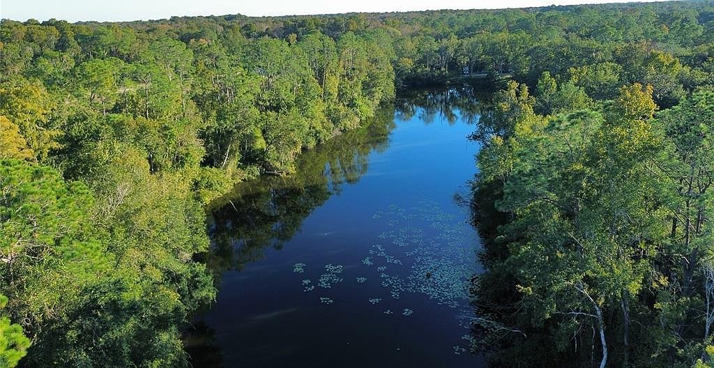 0 Eagle Blvd LOT 13 Land O Lakes, FL 34639 | Land/Lot