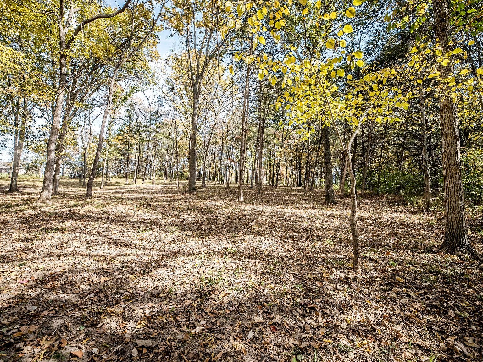 LOT 6 N Locust Grove Church Rd Columbia, MO 65202  | Land/Lot