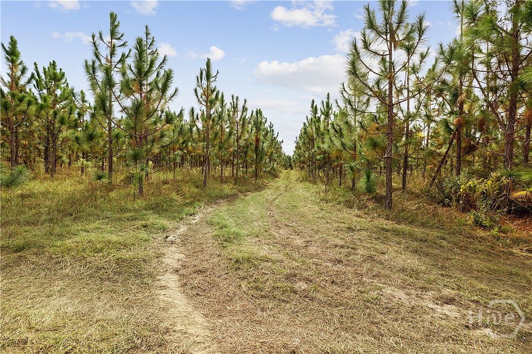 0 State Highway 297 TRACT 3 Soperton, GA 30457 | Land/Lot