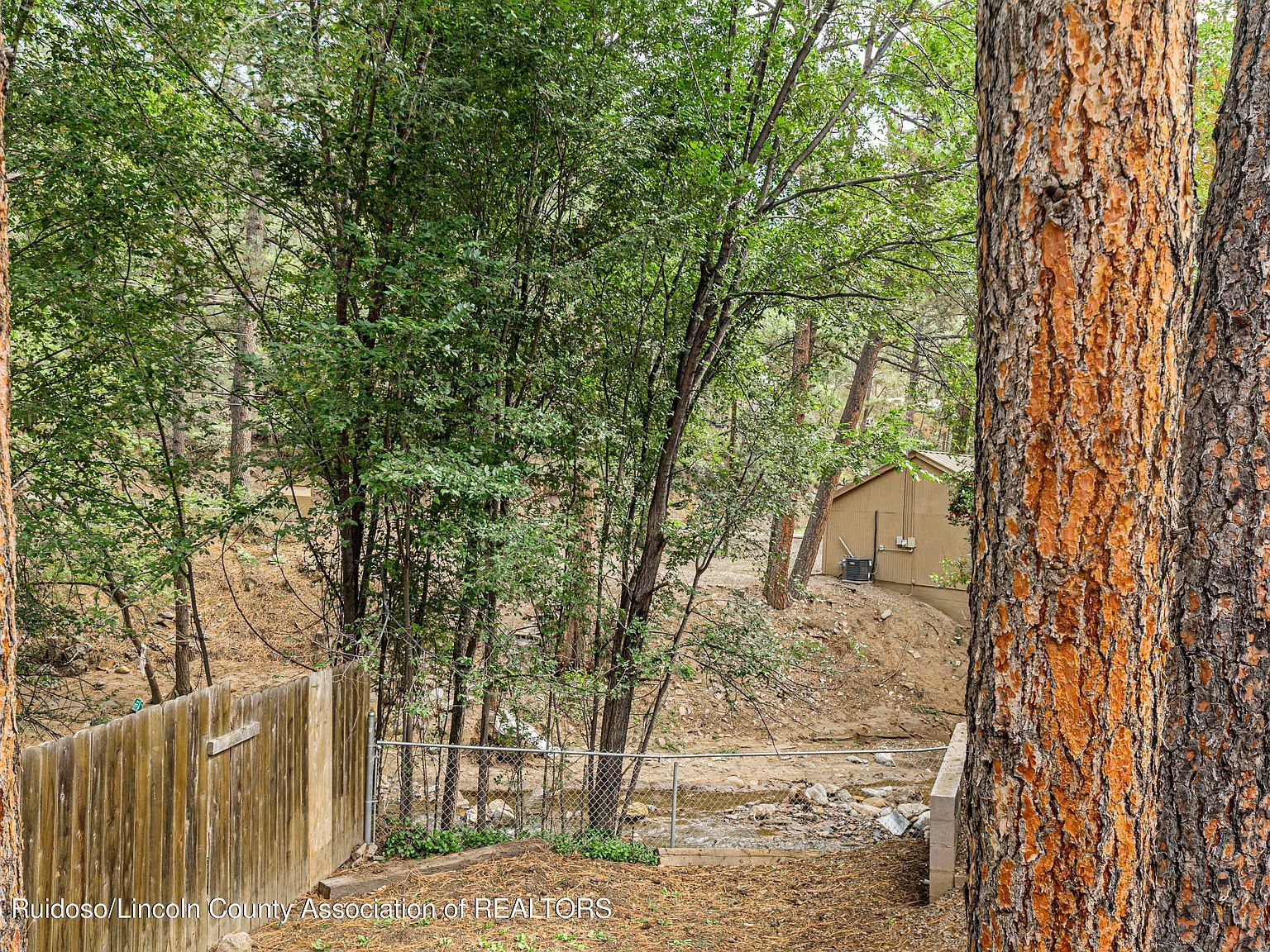 95 Bradley Dr Ruidoso, NM 88345  | New build