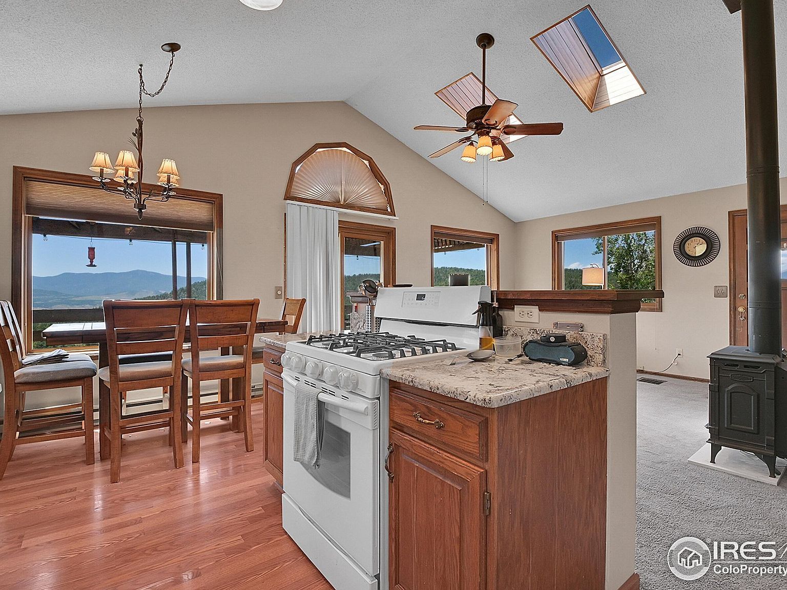 13976 Wamblee Trl Conifer, CO 80433 | Single Family