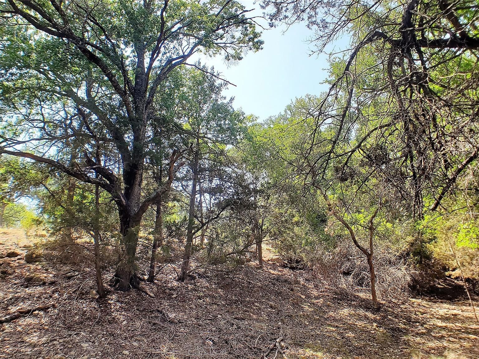 650 Beauchamp Rd Dripping Springs, TX 78620  | Land/Lot