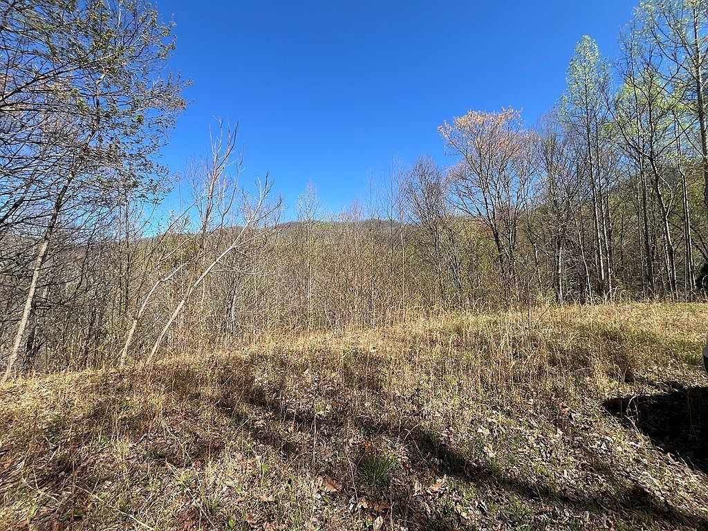 359 Loon Ln Whittier, NC 28789  | Land/Lot