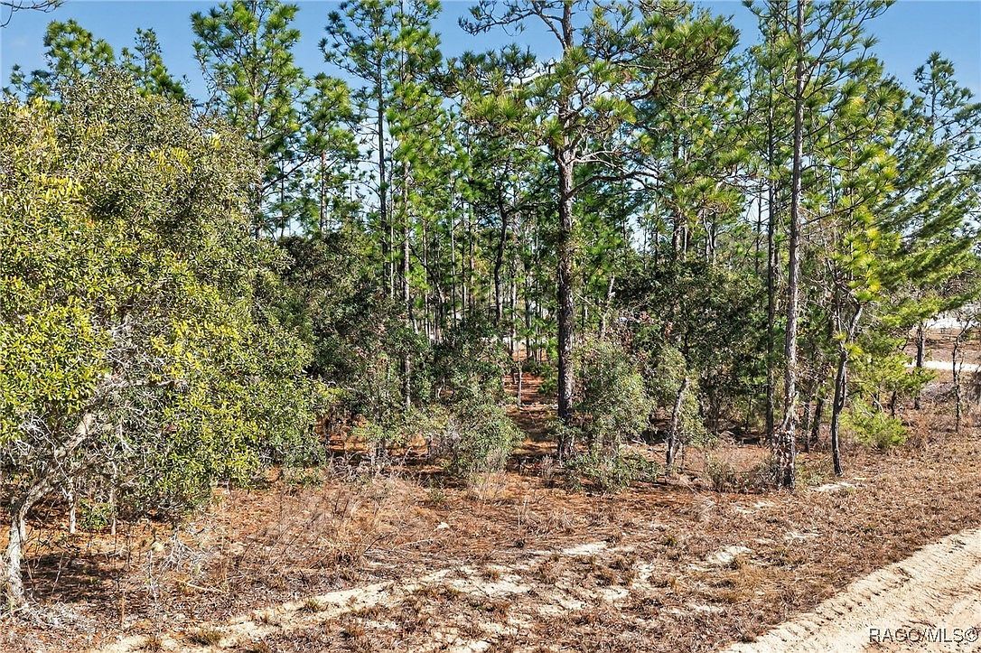 0 SE 2nd St Lot 6 Williston, FL 32696 | Land/Lot