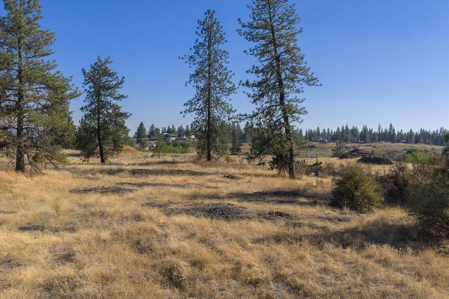 3811 W Cliffside Ln Spokane, WA 99224 | Land/Lot