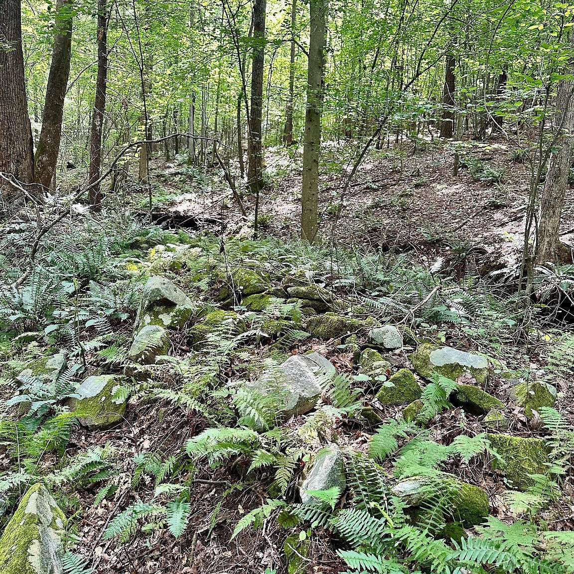 PARCEL 6-22A Black Hill Rd Rixeyville, VA 22737 | Land/Lot