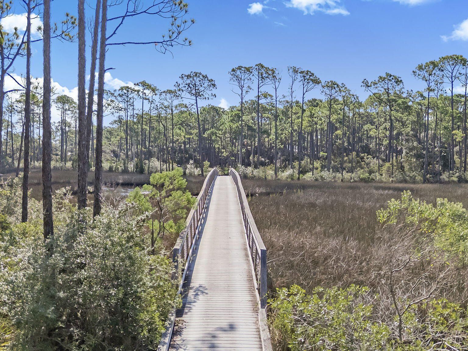 6311 Turkey Cove Ln Panama City Beach, FL 32413  | Land/Lot