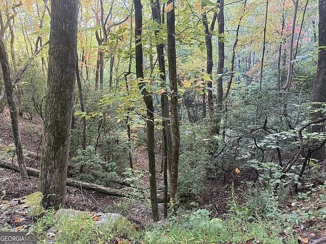 0 Wood Sorrel Ln LOT 727/726 Clayton, GA 30525 | Land/Lot