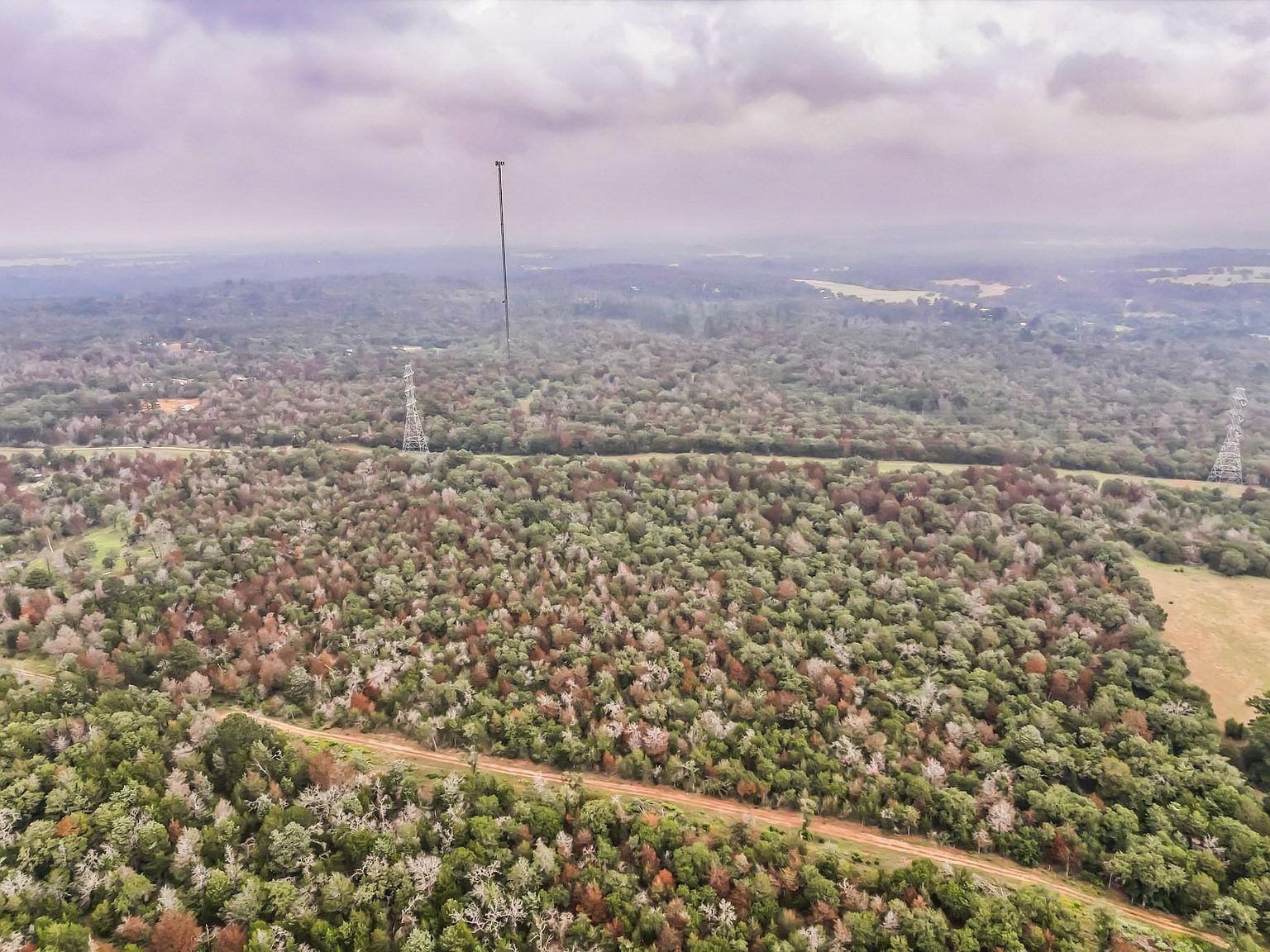 1360 Sand Hills Rd #A Red Rock, TX 78662 | Land/Lot