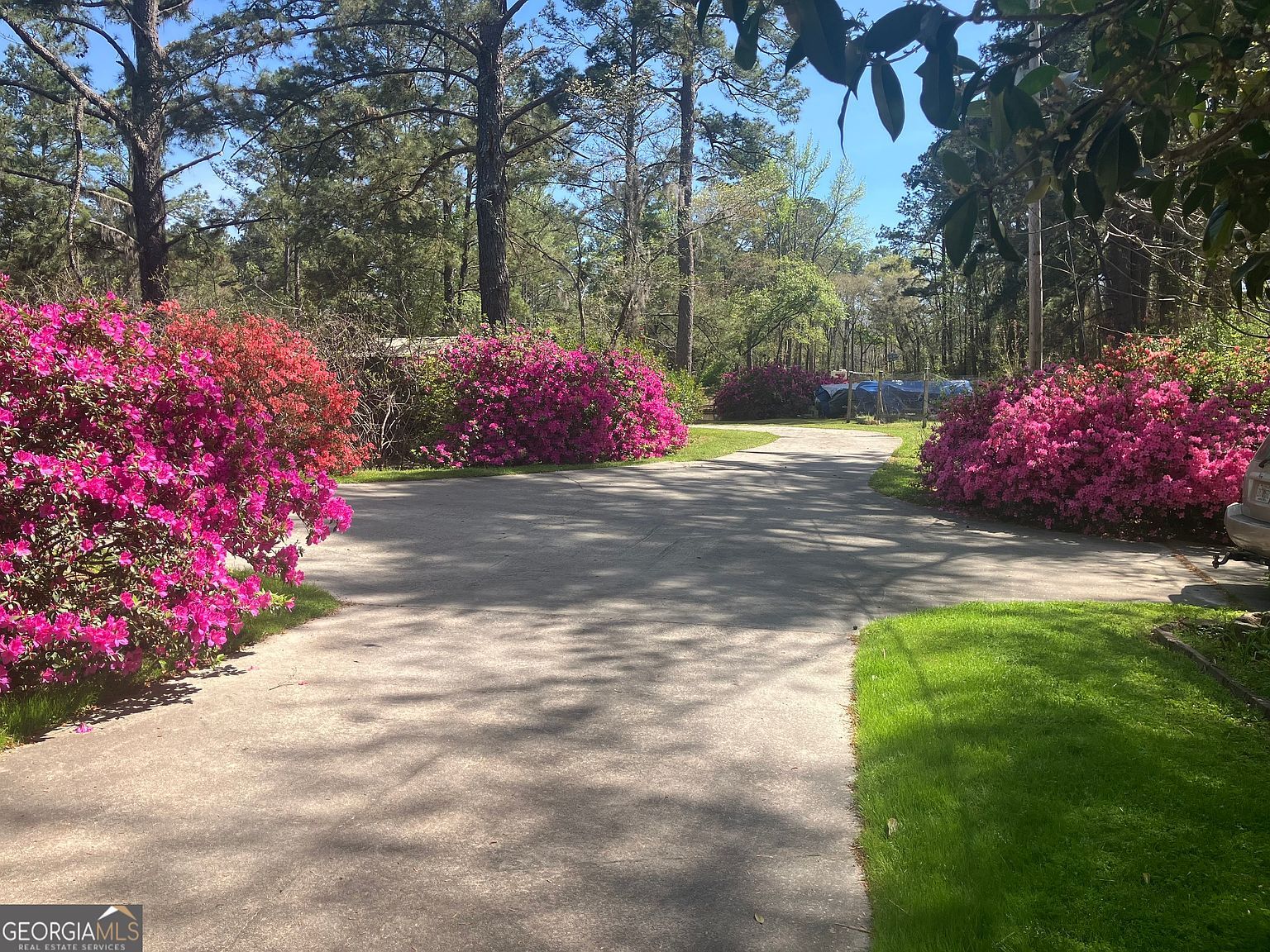 113 Flamingo Ln Statesboro, GA 30461 | Single Family