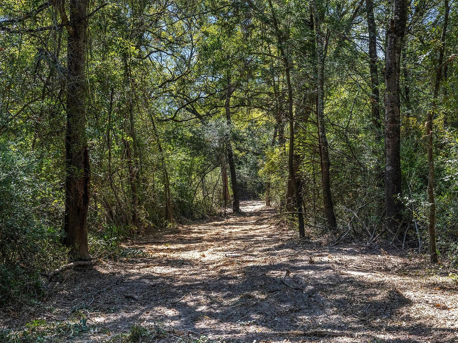 3180 Fm 1940 Franklin, TX 77856  | Land/Lot