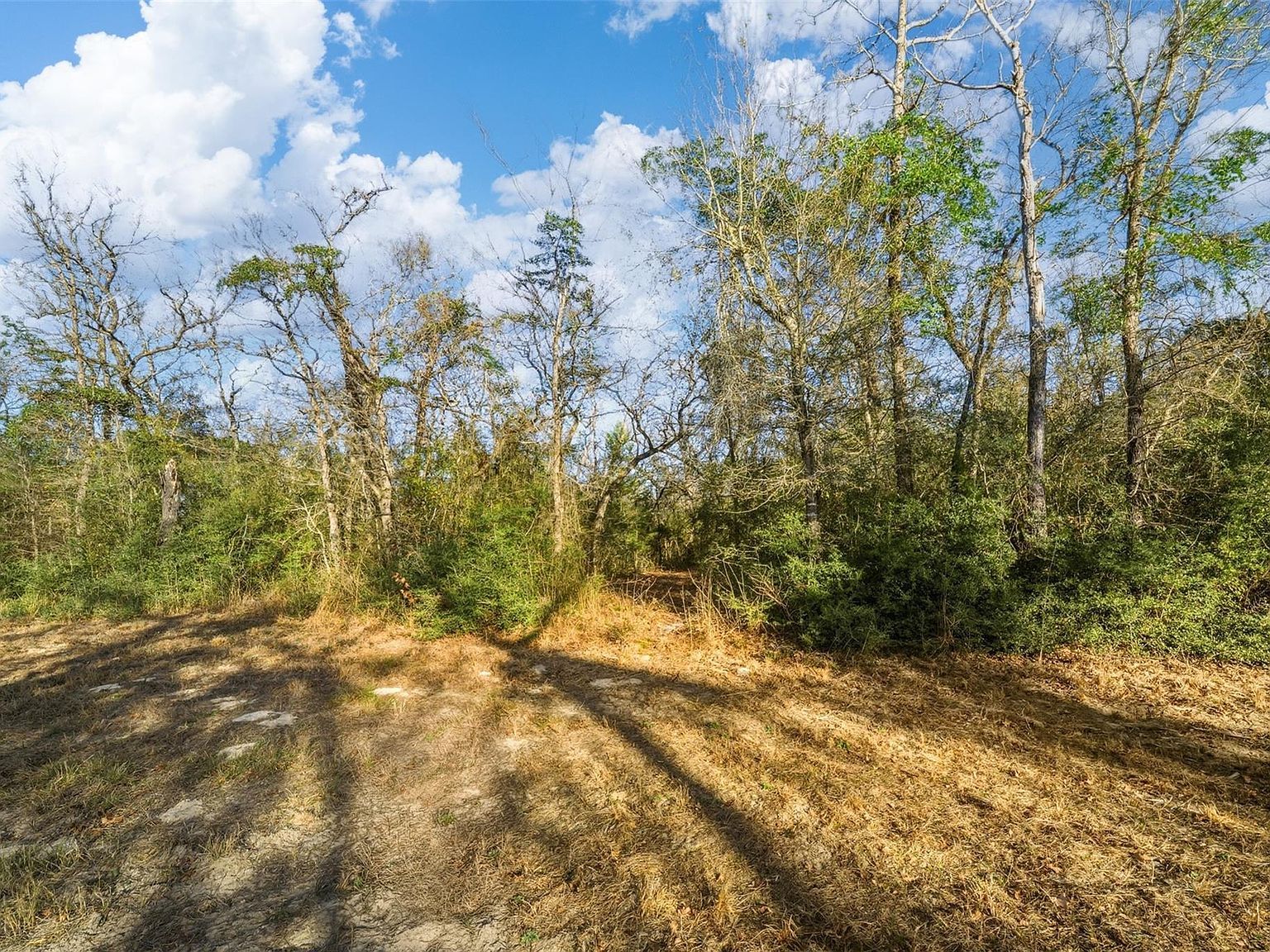 W Fm 979 Franklin, TX 77856  | Land/Lot