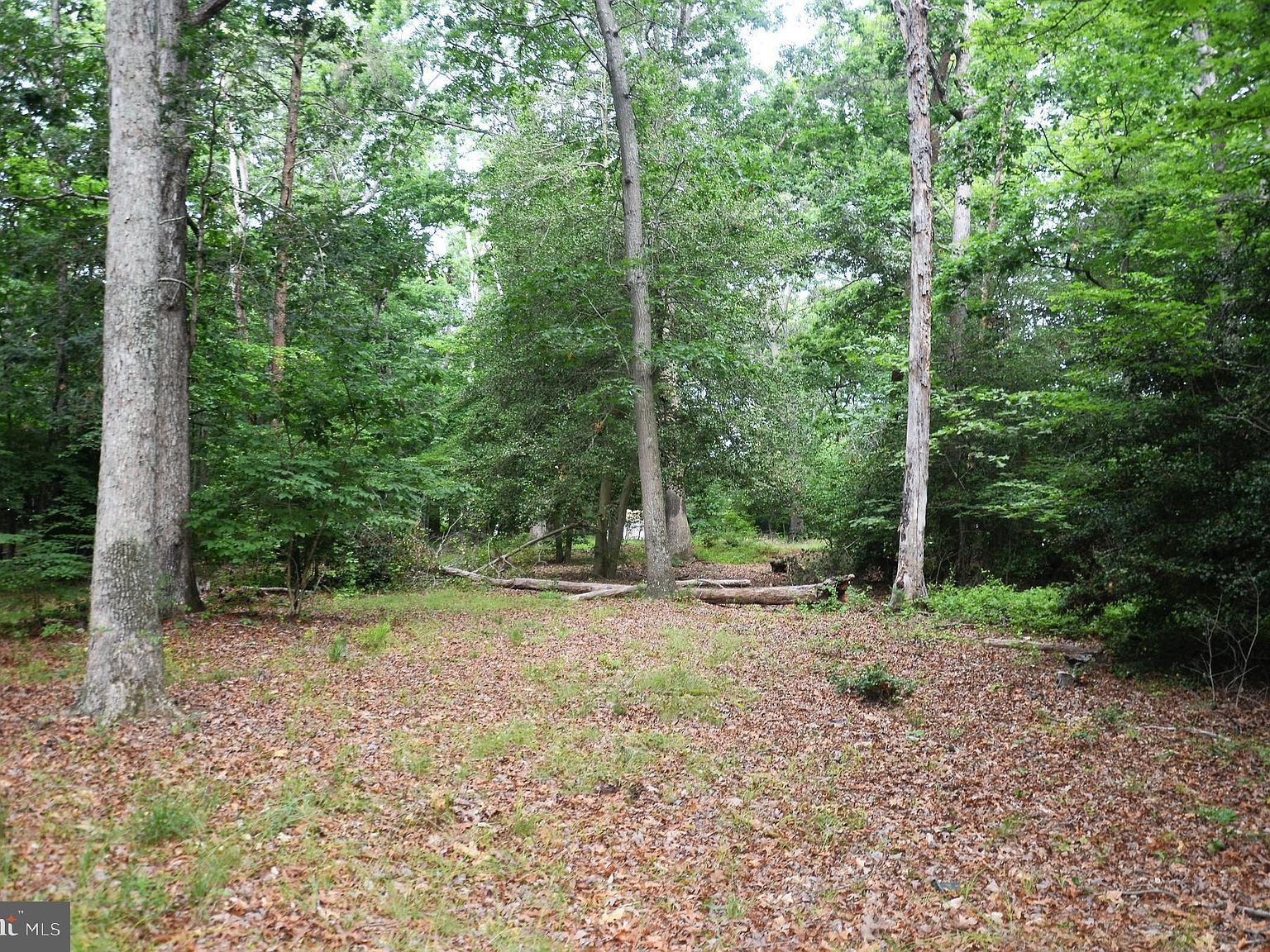 16106 Bealle Hill Rd Waldorf, MD 20601  | Land/Lot