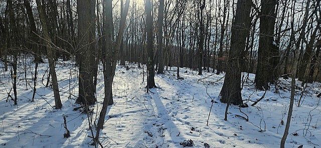 Houk Rd Portersville, PA 16051  | Land/Lot