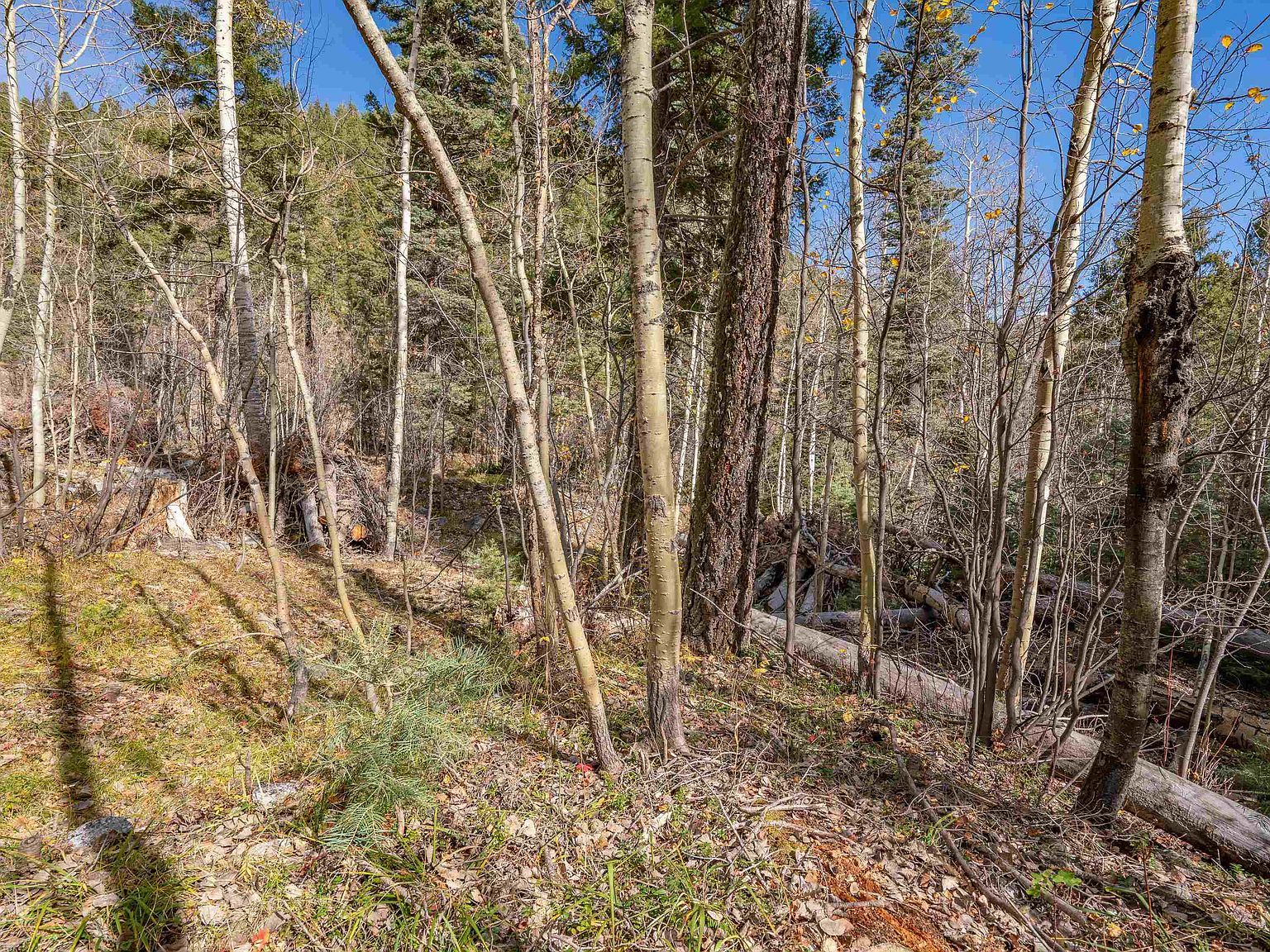 LOT 3 Emma Rd Taos Ski Valley, NM 87525  | Land/Lot