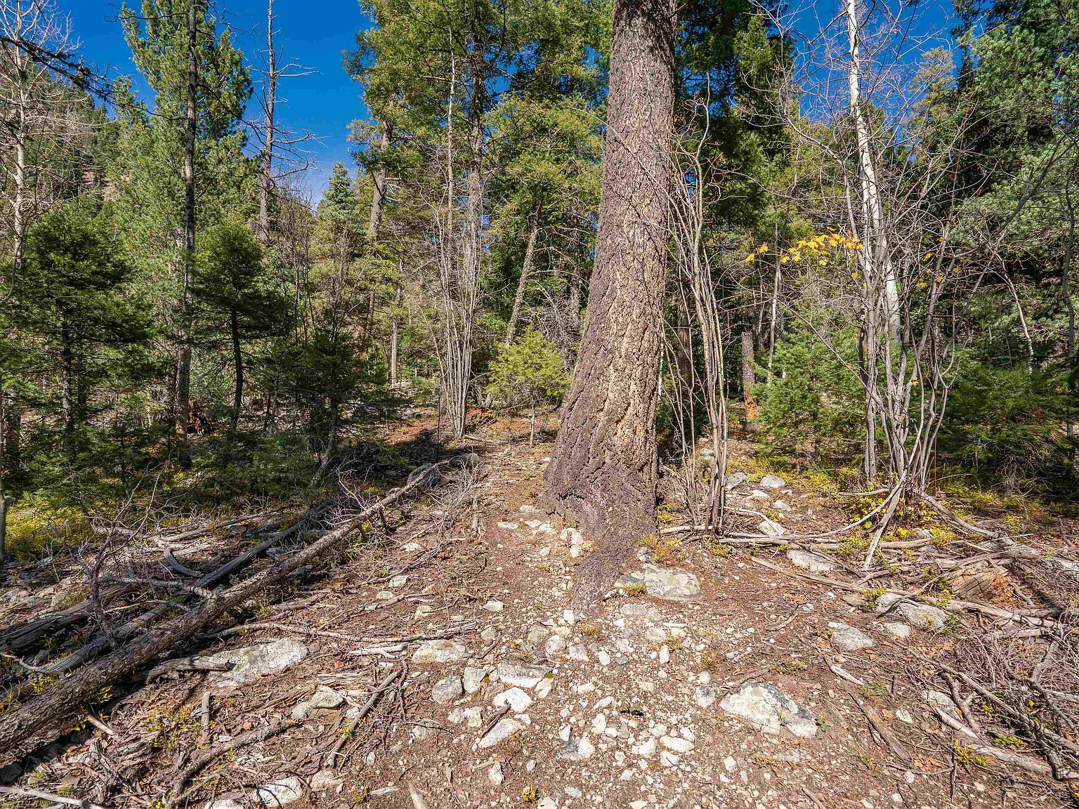 LOT 9 Emma Rd Taos Ski Valley, NM 87525  | Land/Lot