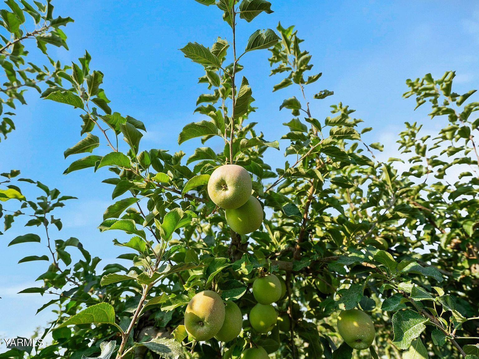 Nka Desmarais Rd Moxee, WA 98936  | Land/Lot