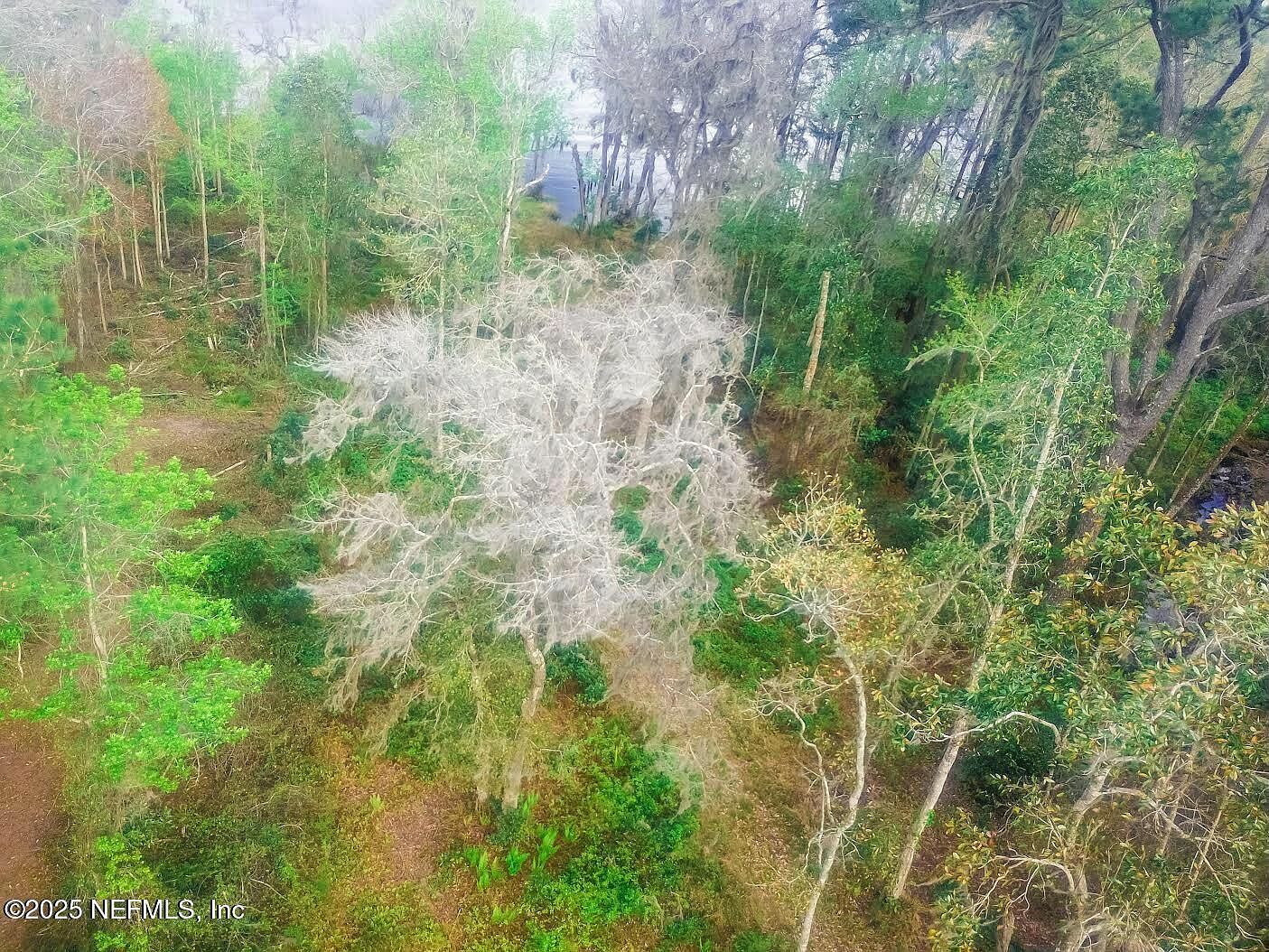 266 Lake Dr Florahome, FL 32140  | Land/Lot