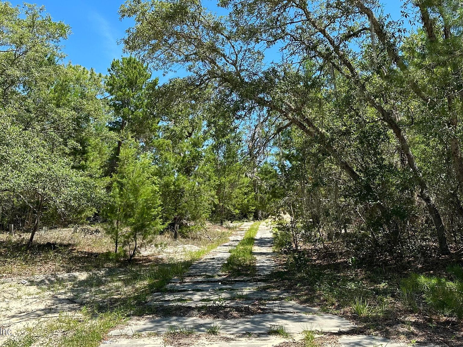 110 Lincoln St Satsuma, FL 32189  | Land/Lot