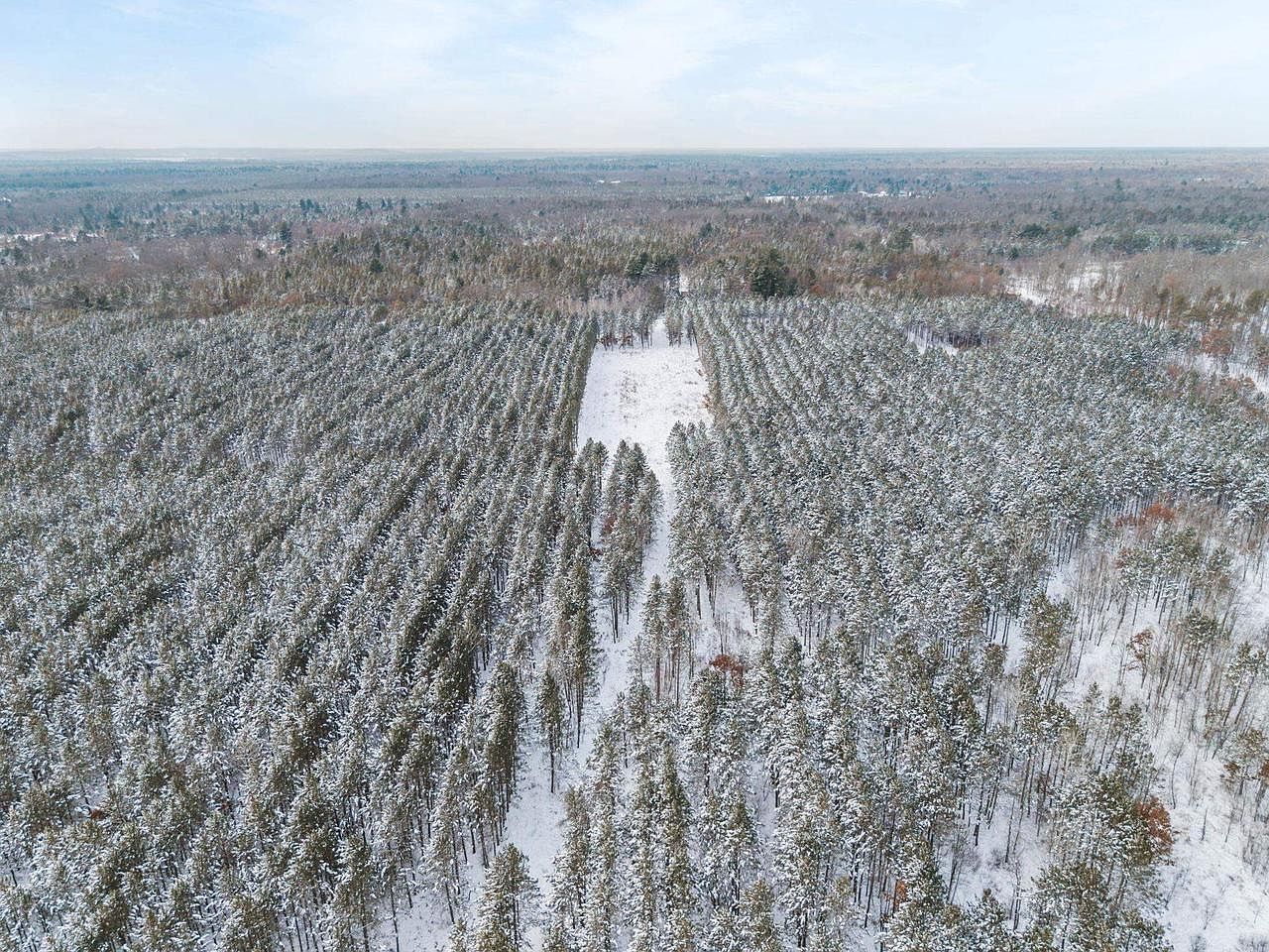 LOT-6AC 12th Ave #4 New Lisbon, WI 53950 | Land/Lot