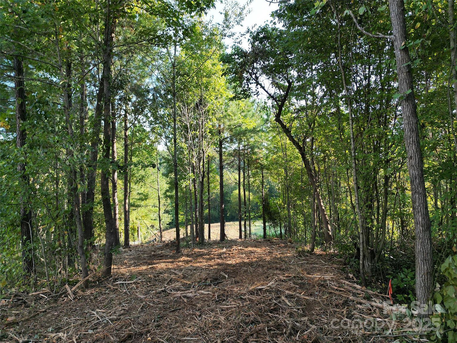 133 Addison Emory Ln Mooresville, NC 28115  | Land/Lot