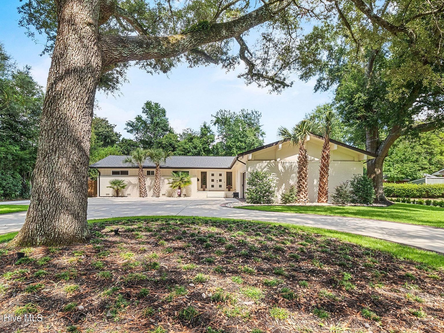 1709 Hawthorne Rd Wilmington, NC 28403  | Single Family